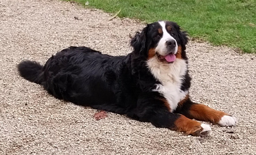 Ussya Du Verger Des Beaurepaires